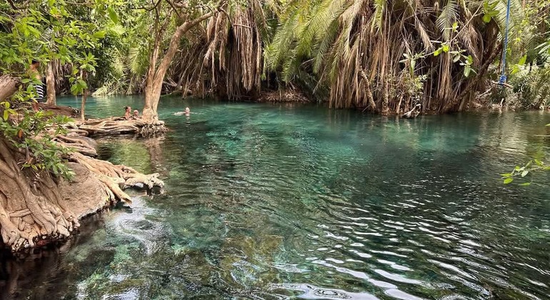 Arusha zu Fuß entdecken: Kostenlose Tour Tansania — #13