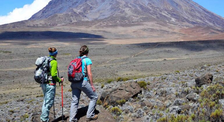 Arusha zu Fuß entdecken: Kostenlose Tour Tansania — #32