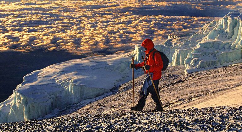 Arusha zu Fuß entdecken: Kostenlose Tour Tansania — #36