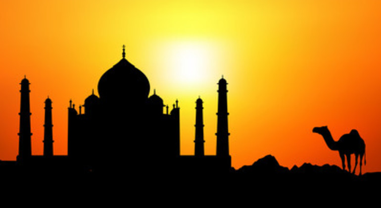 Viagem de um dia ao Taj Mahal de carro