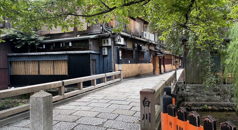 Paseo por Kioto: Calles ocultas y cultura en 90 minutos Japón &mdash; #8