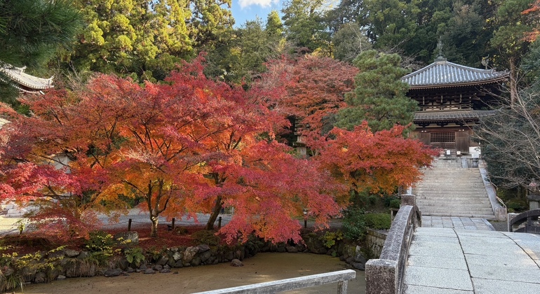Paseo por los secretos locales de Gion con tarjeta postal Kanji de recuerdo Japón &mdash; #2