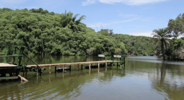 Excursão de um dia a Pugu Kazimzumbwi Organizado por Omary Lugusha