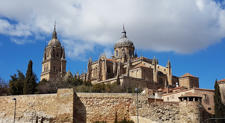 Salamanca Monumental Fournie par Raúl 