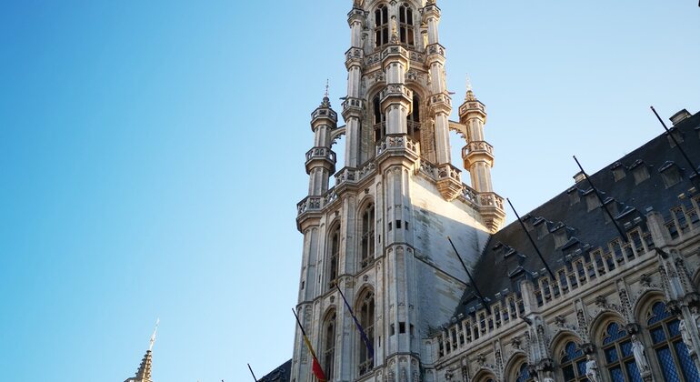 Visite gratuite des lieux merveilleux du centre de Bruxelles Belgique — #1