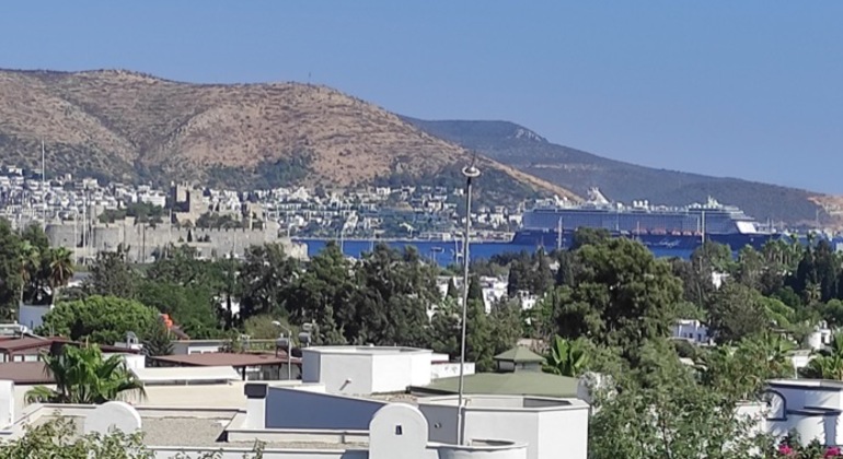 Half Day Bodrum (Halicarnasos) Tour by car Provided by Bulent