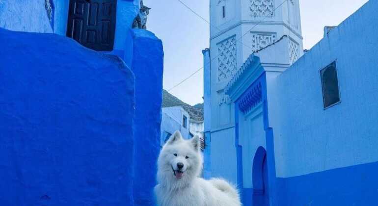 Geführte Tour durch Chaouen Marokko — #8
