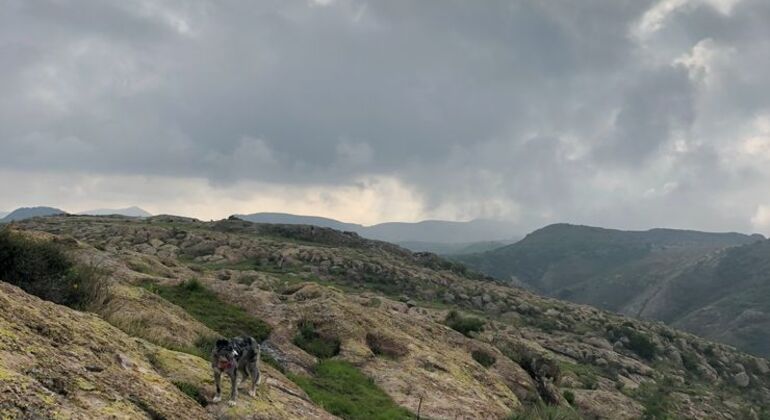 Hiking & Sightseeing in La Bufa Provided by Ivan Espinosa