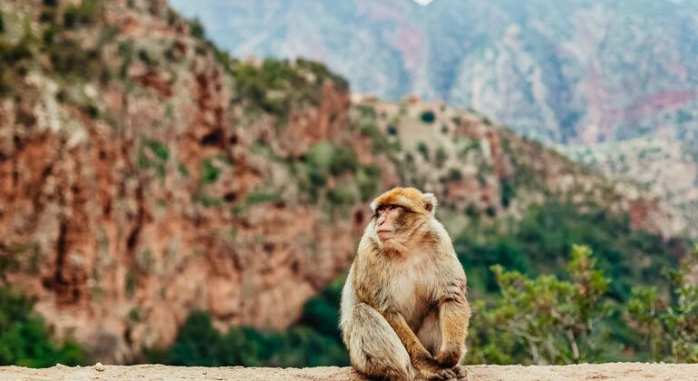 from-marrakech-ouzoud-waterfalls-guided-hike-boat-trip-es-3