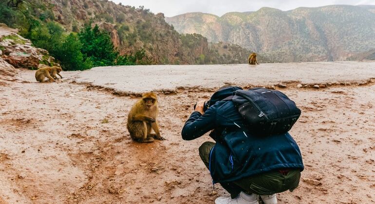 from-marrakech-ouzoud-waterfalls-guided-hike-boat-trip-es-15