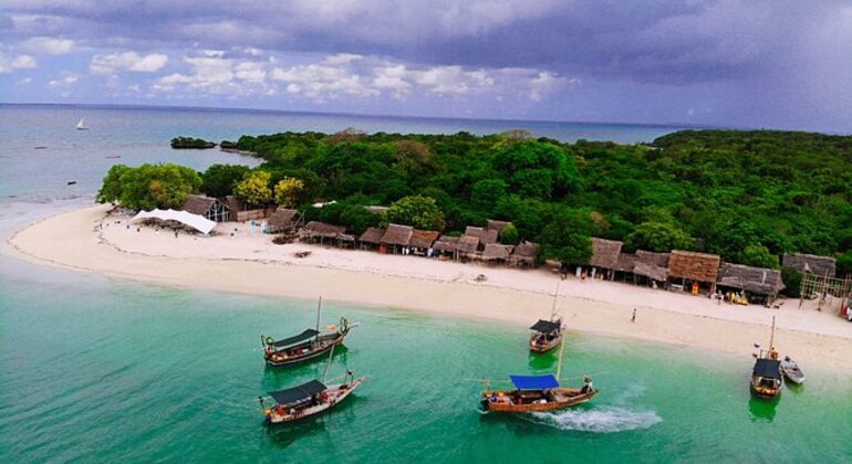 Sansibar Unvergessliches Ozean-Safari-Erlebnis Ganztagestour  Tansania — #4