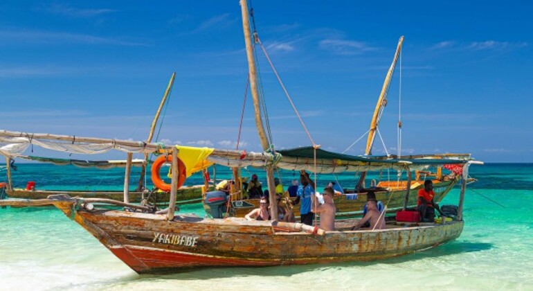 Observação de golfinhos e snorkeling na ilha de Mnemba Tanzânia — #2