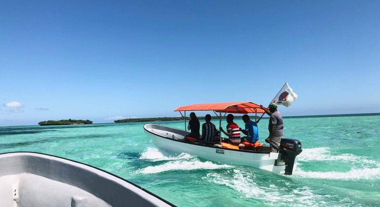 Observação de golfinhos e snorkeling na ilha de Mnemba Tanzânia — #5