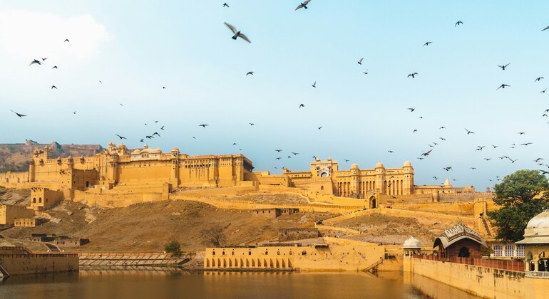 Découvrez la beauté du Rajasthan caché