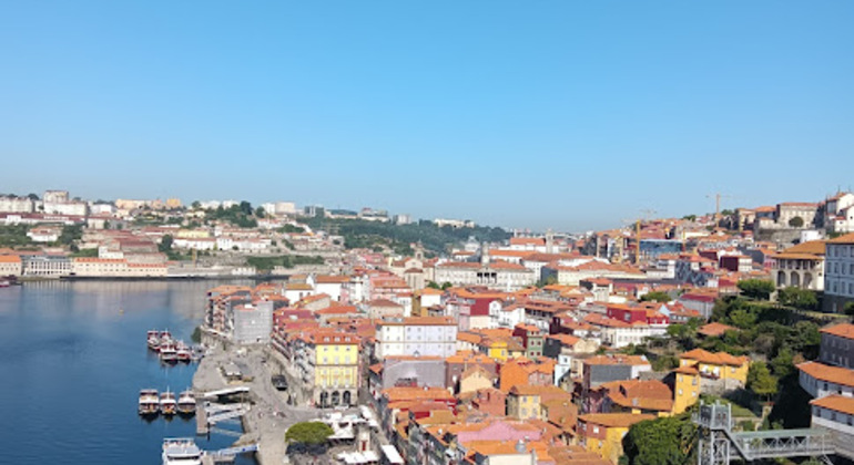 free-walking-tour-durch-die-altstadt-auf-deutsch-en-4