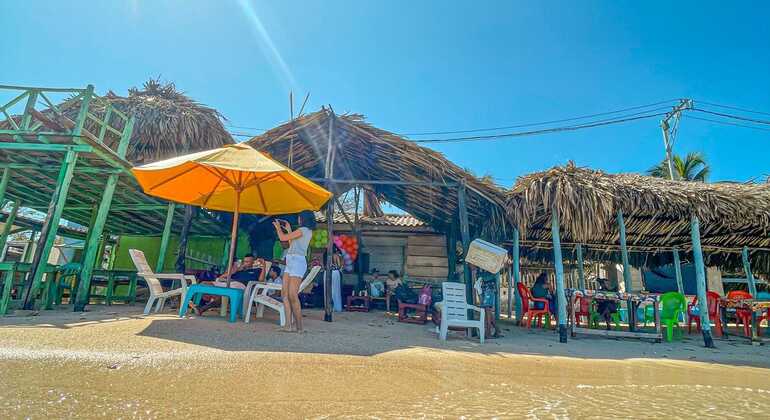 Excursión de un día a Tierra Bomba