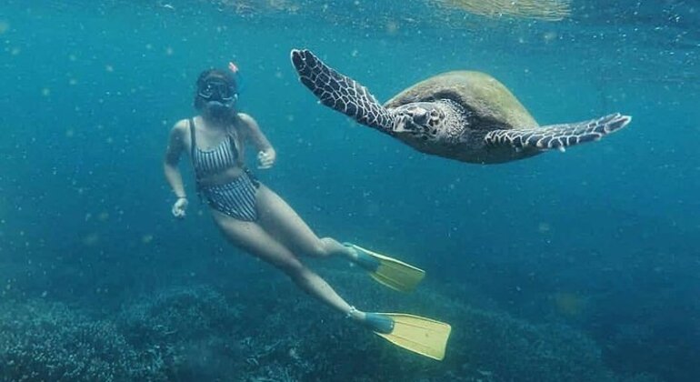 Esnórquel en Unawatuna, Sri Lanka