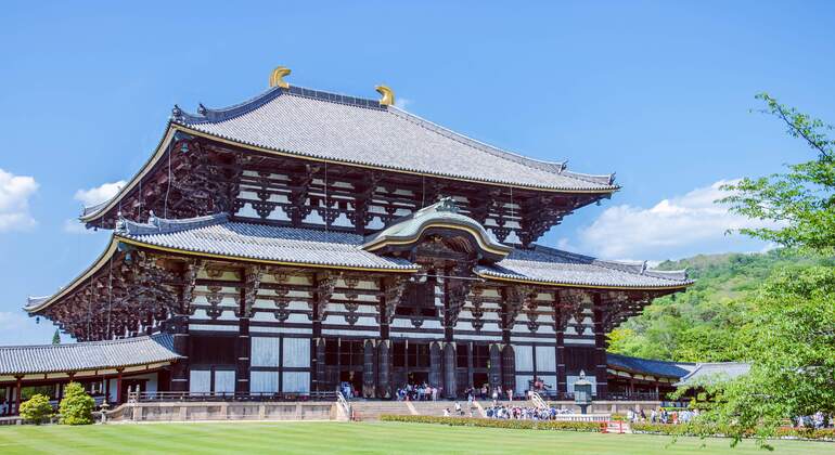one-day-tour-from-osakakyoto-to-nara-park-es-5