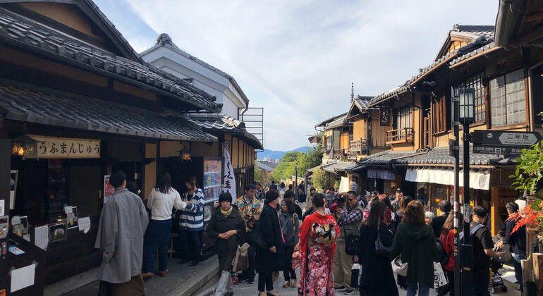 one-day-tour-from-osakakyoto-to-nara-park-es-4