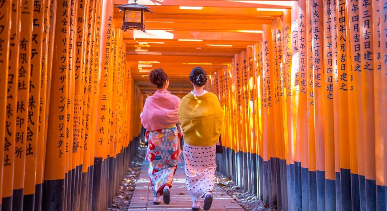 one-day-tour-from-osakakyoto-to-nara-park-es-7
