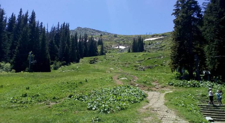Private Hiking Trip to the Black Peak in Vitosha Mountain