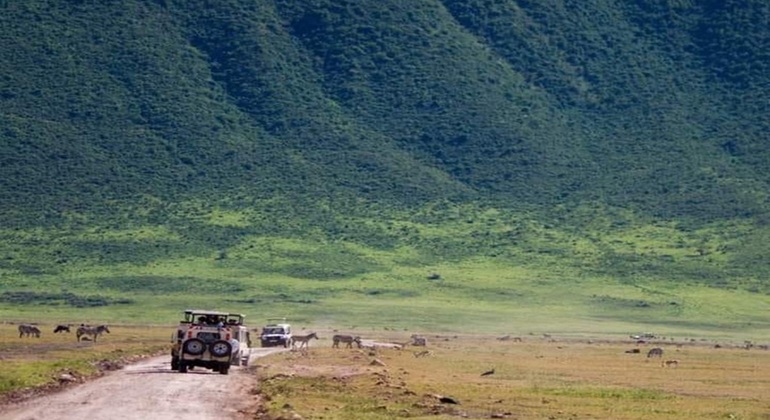 safari de 3 días a Tarangire, Ngorongoro y Lago Manyara Operado por ANAPA TRAVEL AFRICA TOURS
