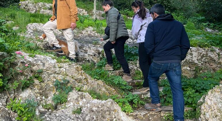 obidos-village-free-tour-en-5
