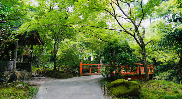 one-day-arashiyama-train-tickets-crossing-tour-from-osakakyoto-es-3