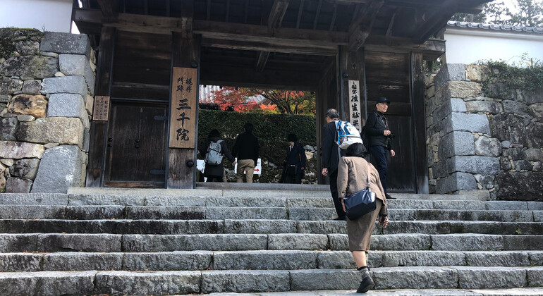 one-day-arashiyama-train-tickets-crossing-tour-from-osakakyoto-es-4