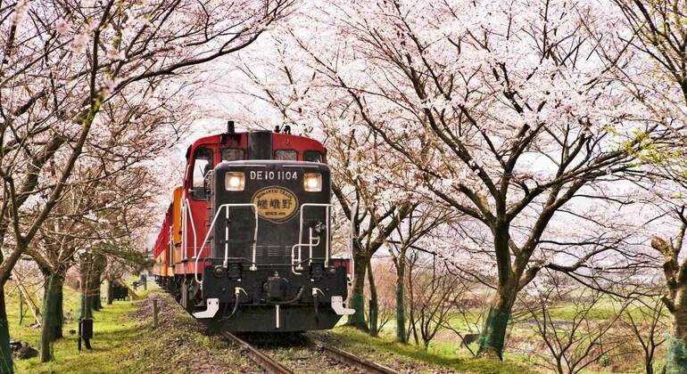 one-day-arashiyama-train-tickets-crossing-tour-from-osakakyoto-es-5