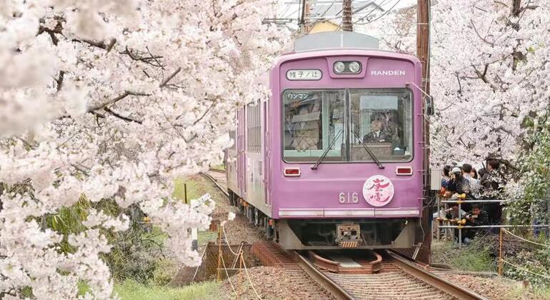 one-day-arashiyama-train-tickets-crossing-tour-from-osakakyoto-es-6