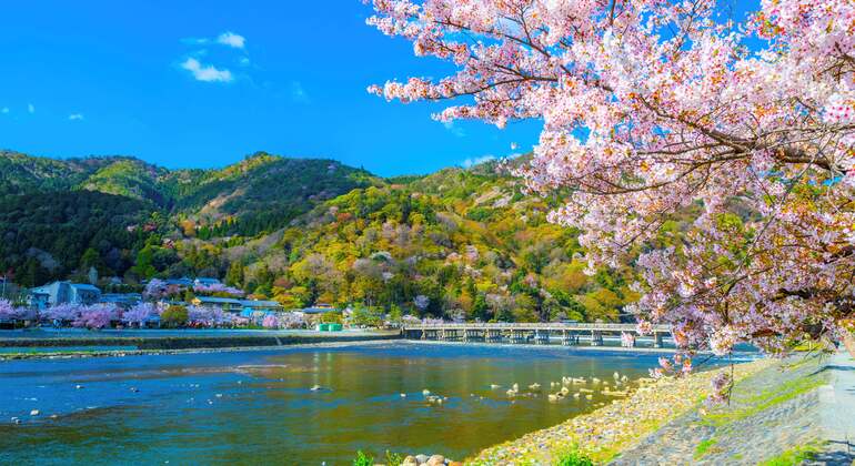one-day-arashiyama-train-tickets-crossing-tour-from-osakakyoto-es-10