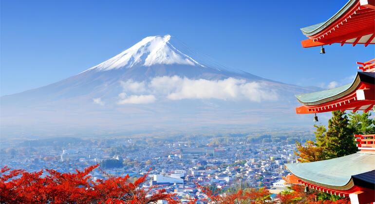 Gita di un giorno al Monte Fuji di Tokyo Internet Celebrity Line