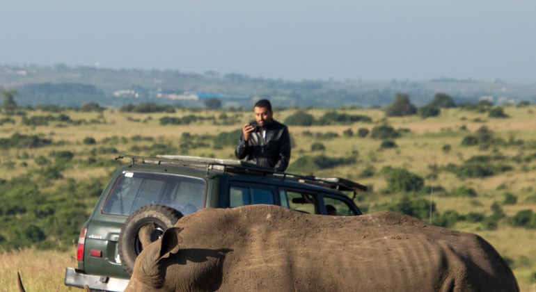 Nairobi National Park Pirschfahrt Tour Kenia — #2