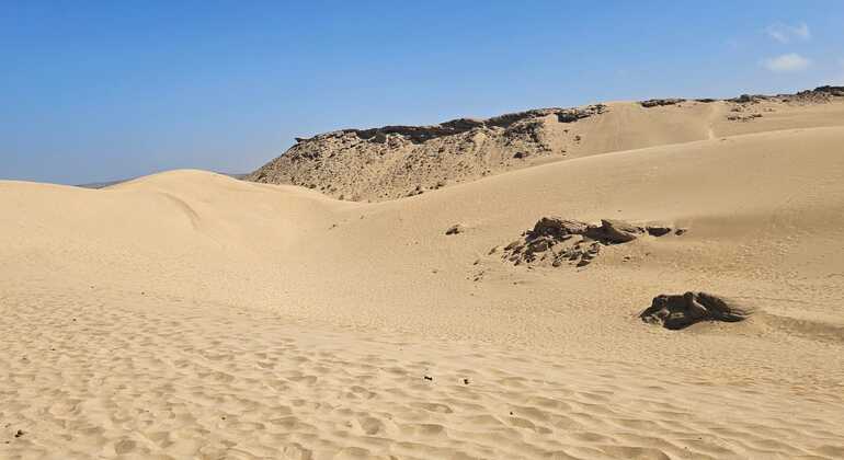 Tour des dunes de sable