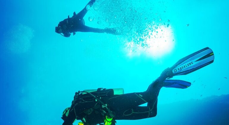 Scuba Diving in Hikkaduwa Sri Lanka — #1