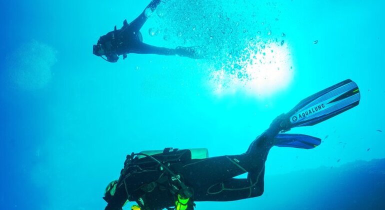 Scuba Diving in Hikkaduwa, Sri Lanka