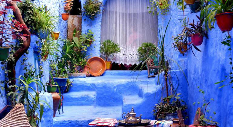 Gita privata di un giorno a Chefchaouen da Fes Fornito da Maroc chauffeur