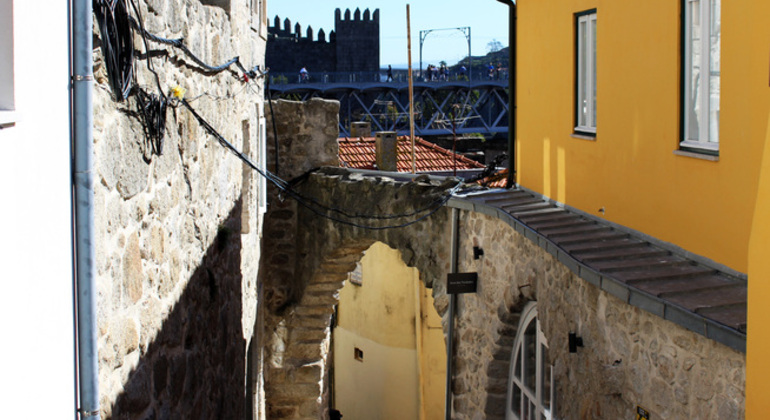 Visita a pie gratuita: Vino de Oporto con degustación incluida  Portugal &mdash; #5