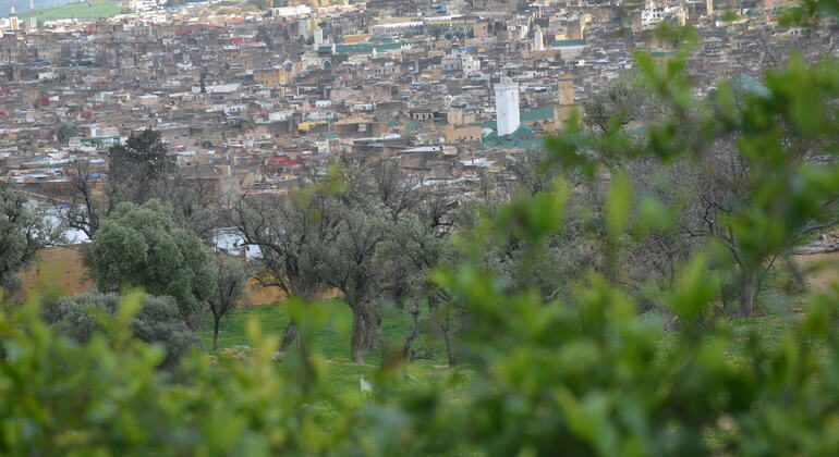 discover-the-hidden-treasures-of-old-medina-fez-en-2