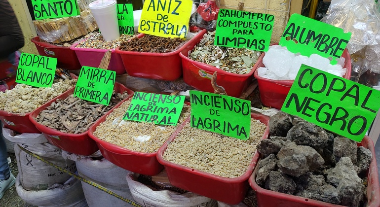 Excursão à Cidade do México: Mercado La Merced e Sonora com degustações México — #4