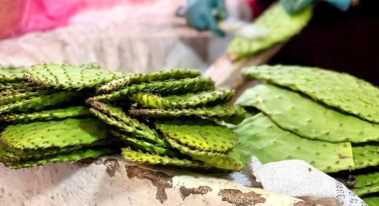 Excursão à Cidade do México: Mercado La Merced e Sonora com degustações México — #9