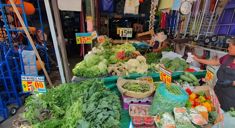 Excursão à Cidade do México: Mercado La Merced e Sonora com degustações México — #14