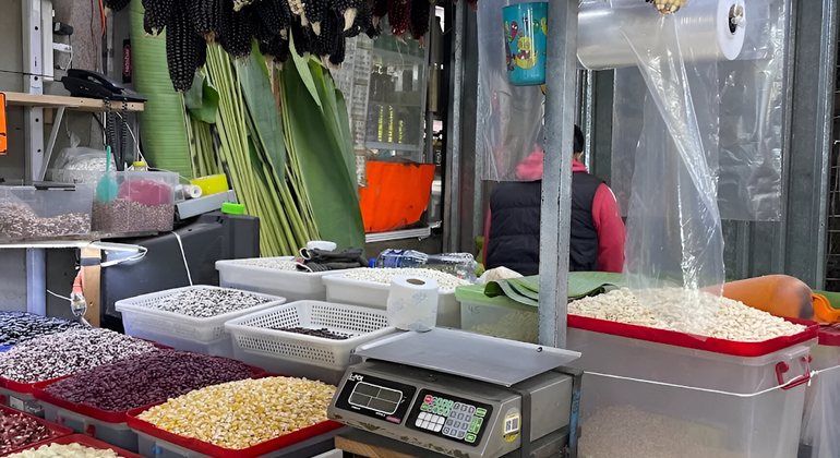 Excursão à Cidade do México: Mercado La Merced e Sonora com degustações México — #15