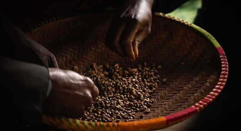 Moshi Safari Ventures (Passeios de um dia à volta de Moshi) Tanzânia — #2