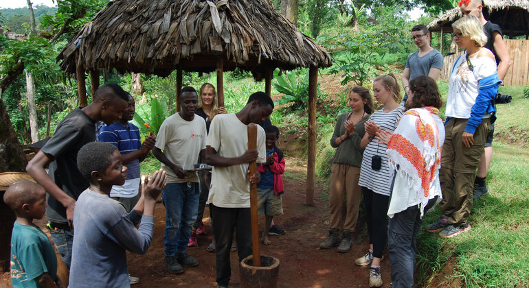 Moshi Safari Ventures (Passeios de um dia à volta de Moshi) Tanzânia — #6