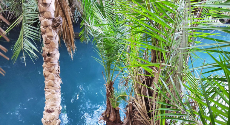 Moshi Safari Ventures (Passeios de um dia à volta de Moshi) Tanzânia — #7