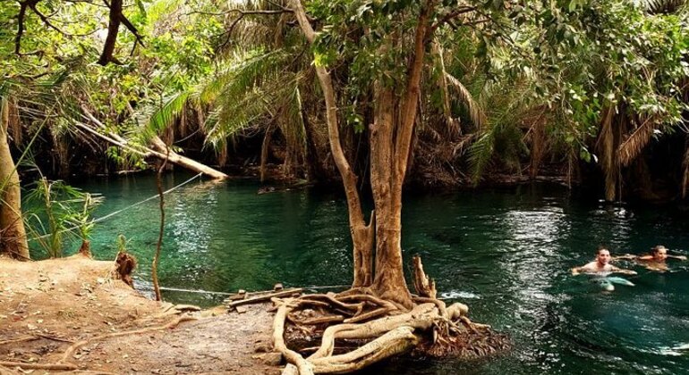 Moshi Safari Ventures (Passeios de um dia à volta de Moshi) Tanzânia — #8