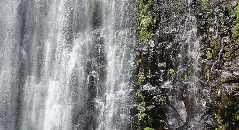 Moshi Safari Ventures (Passeios de um dia à volta de Moshi) Tanzânia — #9