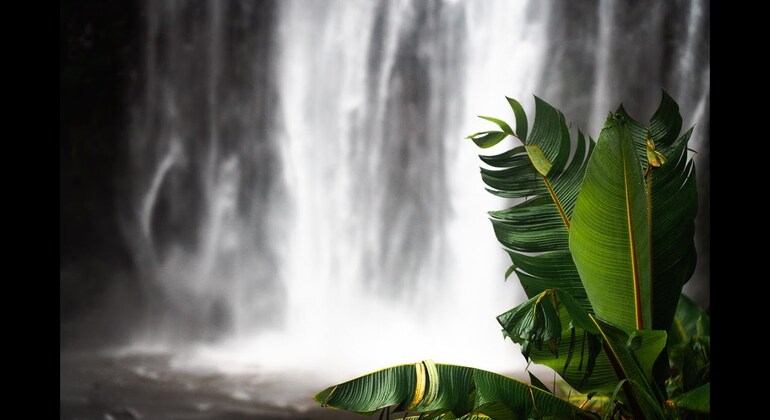 Moshi Safari Ventures (Passeios de um dia à volta de Moshi) Tanzânia — #10